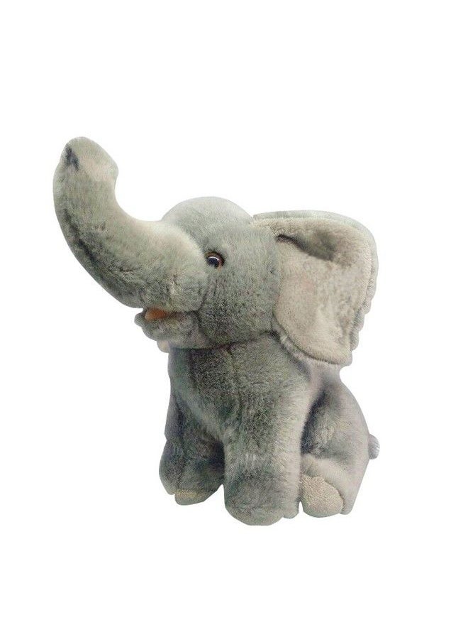 Cute Plush Elephant Soft & Cozy Baby Elephant Toy 11 Inches - pzsku/Z2C09E2AC2A347ADE24DDZ/45/_/1680818087/9c39ed94-c8f7-4698-a0a5-768ccc8d39f3