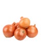 Brown Onion