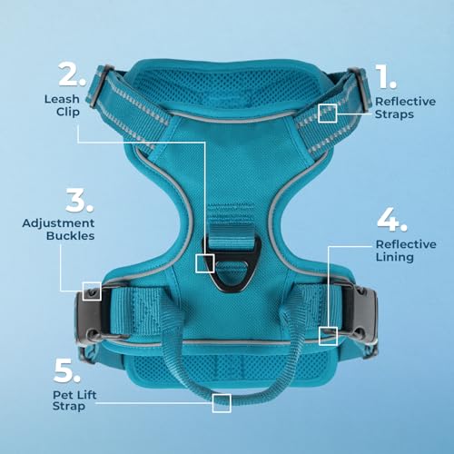 Voyager No Pull Dog Harness for Medium and Large Dogs, Dual Leash Attachments, Adjustable Soft but Strong Pet Harness with 3M Reflective Technology, Turquoise Nylon, M (Chest: 20 - 25") - Image 2