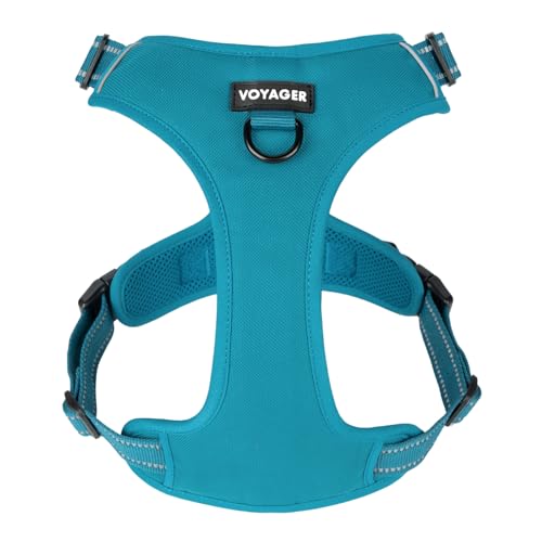 Voyager No Pull Dog Harness for Medium and Large Dogs, Dual Leash Attachments, Adjustable Soft but Strong Pet Harness with 3M Reflective Technology, Turquoise Nylon, M (Chest: 20 - 25") - Image 1
