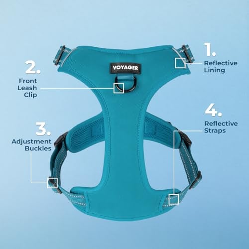 Voyager No Pull Dog Harness for Medium and Large Dogs, Dual Leash Attachments, Adjustable Soft but Strong Pet Harness with 3M Reflective Technology, Turquoise Nylon, M (Chest: 20 - 25") - Image 3