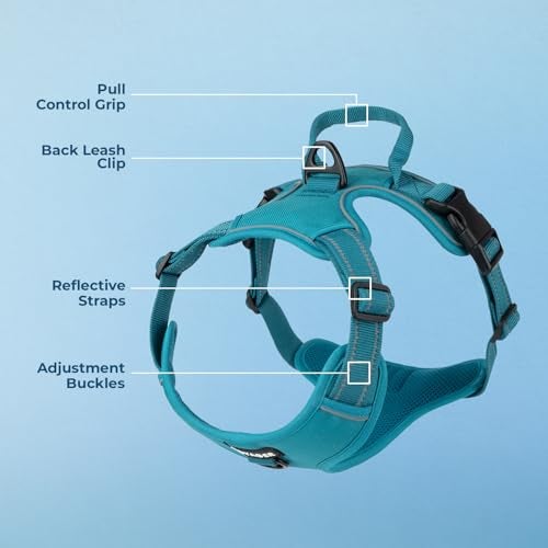 Voyager No Pull Dog Harness for Medium and Large Dogs, Dual Leash Attachments, Adjustable Soft but Strong Pet Harness with 3M Reflective Technology, Turquoise Nylon, M (Chest: 20 - 25") - Image 4