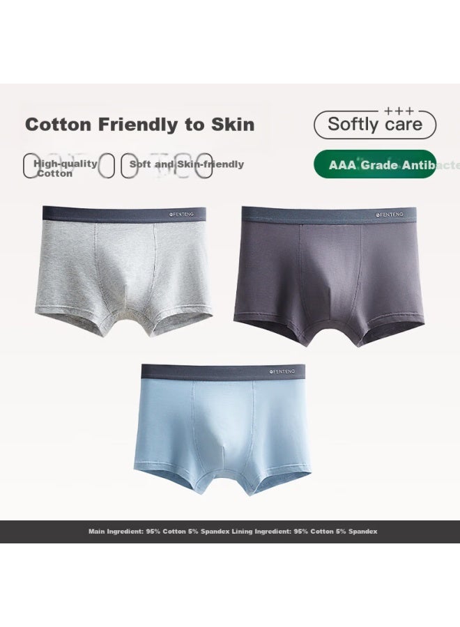 Fenton Fenteng Men's Cotton Breathable Antibacterial Loose Boxer Shorts Big Size Four-corner Pants Combination One 3-pack L - Image 2