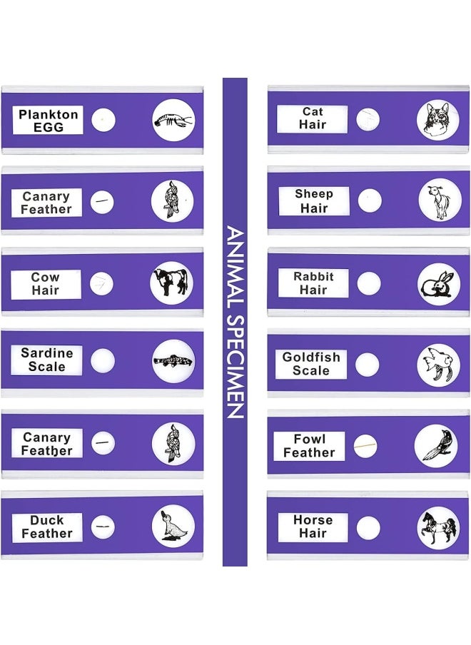 Premify 48  Pieces Prepared Microscope Slides Specimen Animals Insects Plants Vegetables Sample Biological Specimen Stereo Microscope Slide For Kids Students Enlighten Education  - Image 5