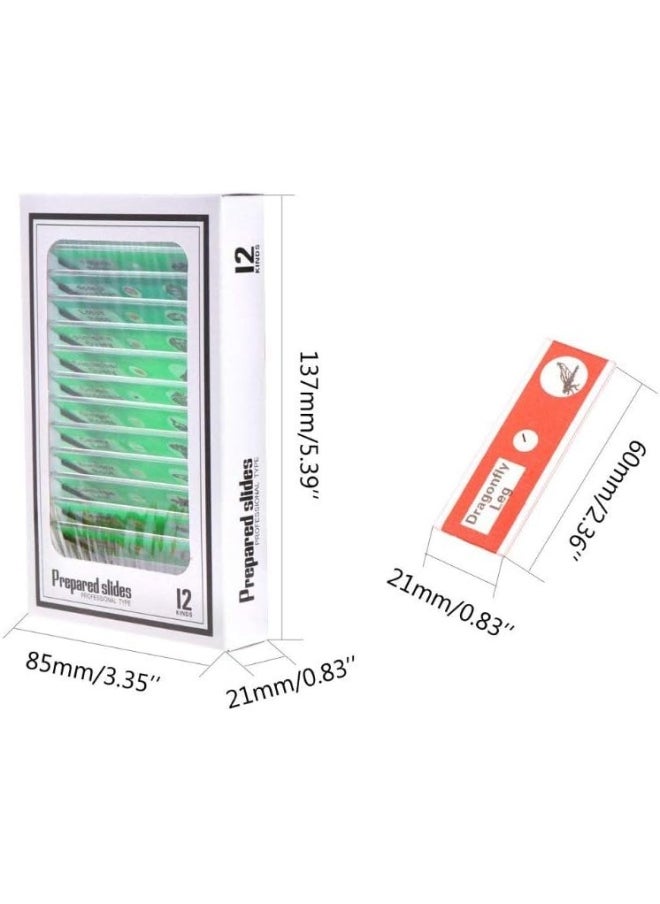Premify 48  Pieces Prepared Microscope Slides Specimen Animals Insects Plants Vegetables Sample Biological Specimen Stereo Microscope Slide For Kids Students Enlighten Education  - Image 3
