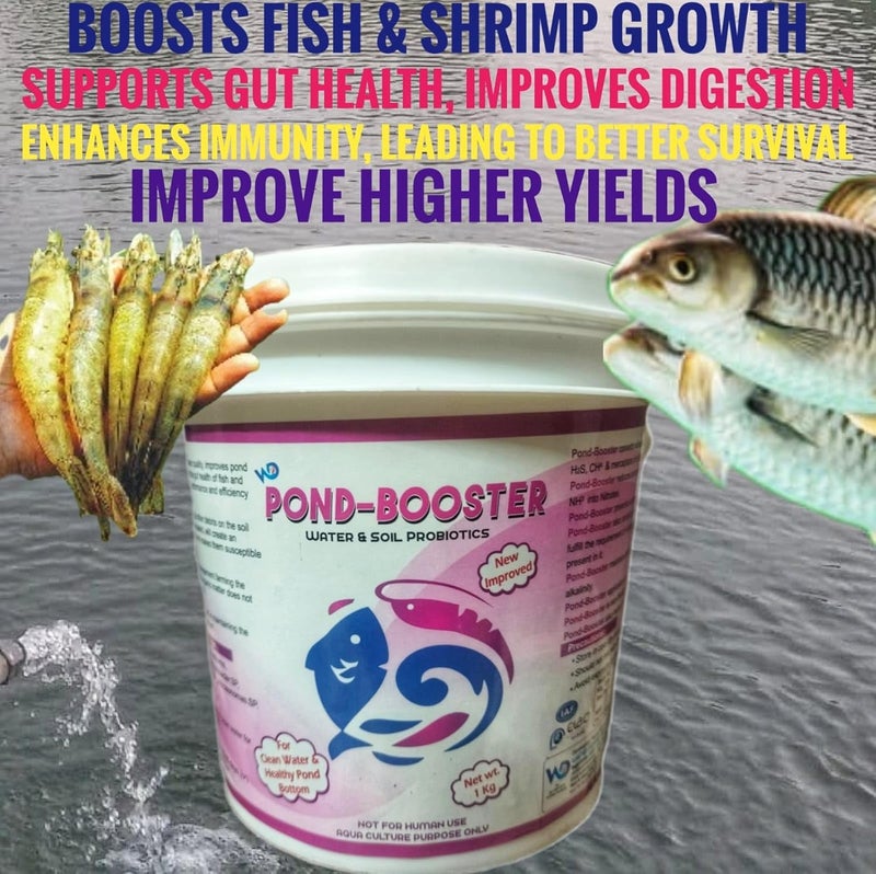 PONDMASTER معزز البركة – بروبيوتيك مائي وتربوي متميز لتربية الأسماك والروبيان | يعزز جودة المياه وصحة التربة | يقلل من الأمونيا السامة والحمأة | يعزز النمو والبقاء المائي - Image 5