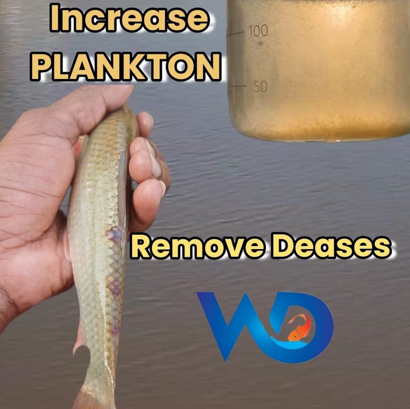 PONDMASTER معزز البركة – بروبيوتيك مائي وتربوي متميز لتربية الأسماك والروبيان | يعزز جودة المياه وصحة التربة | يقلل من الأمونيا السامة والحمأة | يعزز النمو والبقاء المائي - Image 2