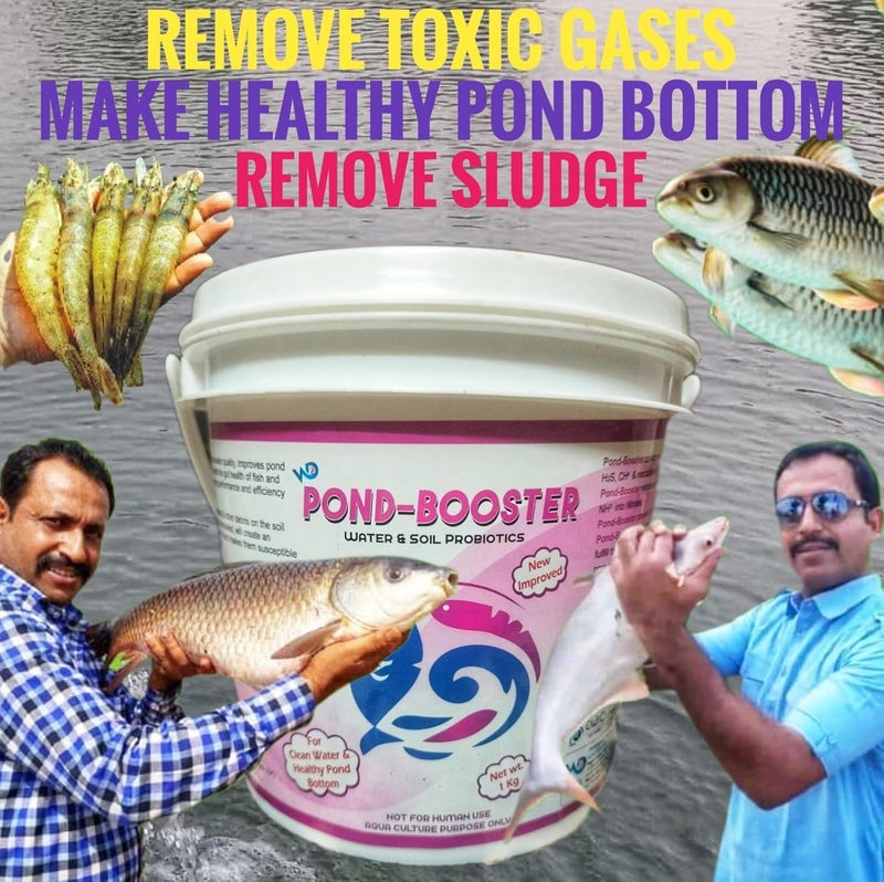 PONDMASTER معزز البركة – بروبيوتيك مائي وتربوي متميز لتربية الأسماك والروبيان | يعزز جودة المياه وصحة التربة | يقلل من الأمونيا السامة والحمأة | يعزز النمو والبقاء المائي - Image 4