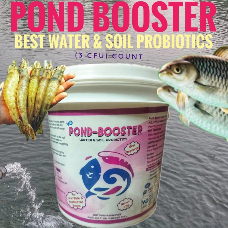 PONDMASTER معزز البركة – بروبيوتيك مائي وتربوي متميز لتربية الأسماك والروبيان | يعزز جودة المياه وصحة التربة | يقلل من الأمونيا السامة والحمأة | يعزز النمو والبقاء المائي - Image 3