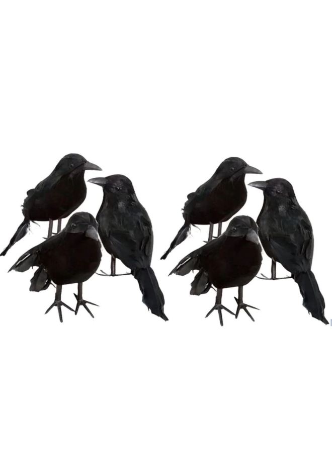 Loquat Simulation Crow Black Crow Decorations Shooting Props Garden Furniture Decoration Easter Wholesale-Dimensions:Flocking 6 Piece Set - Image 1
