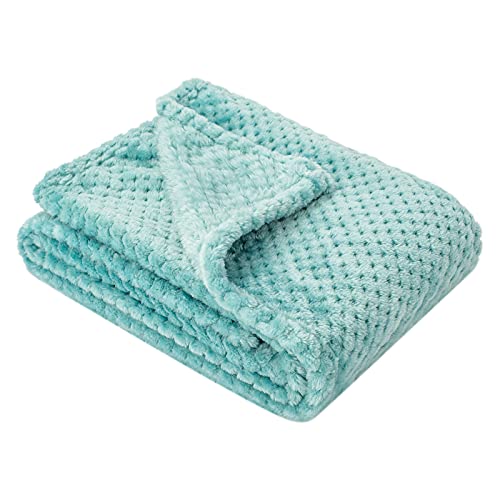 Fuzzy Blanket or Fluffy Blanket for Baby Soft Warm Cozy Coral Fleece Toddler Infant or Newborn Receiving Blanket for Crib Stroller Travel Decorative 28Wx40L XSBlue Bell