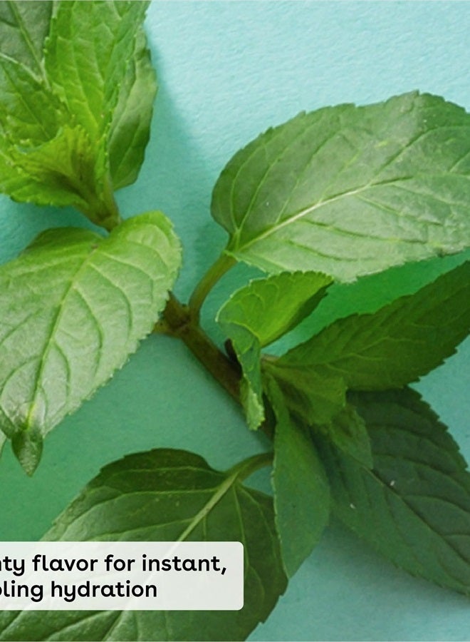 EOS Medicated Lip Balm - The Fixer | Lip Care to Repair and Protect Chapped and Dry Lips | Instant Cooling and Pain Relief with Natural Ingredients | 0.35 oz - Image 2