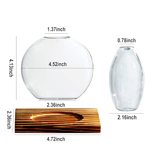 wangsdjy Glass Planter Propagation Station with Wooden Base Clear Oblate Hydroponic Vase Decorative Desktop Flower Vase for Home Office Windowsill Gift for Plant Lovers 2 - Image 3