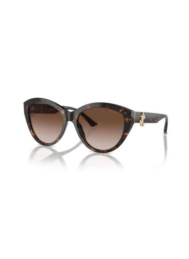 Jimmy Choo Woman PHANTOS  SUNGLASSES- JC 5007 - lense size:55mm - HAVANA  - Image 1