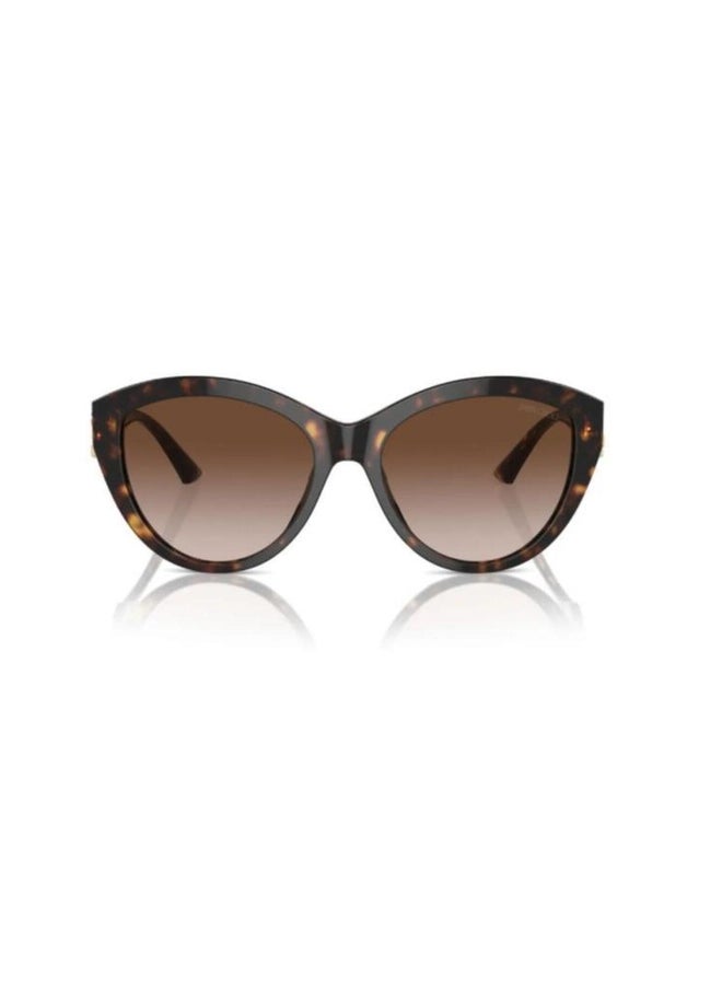 Jimmy Choo Woman PHANTOS  SUNGLASSES- JC 5007 - lense size:55mm - HAVANA  - Image 2