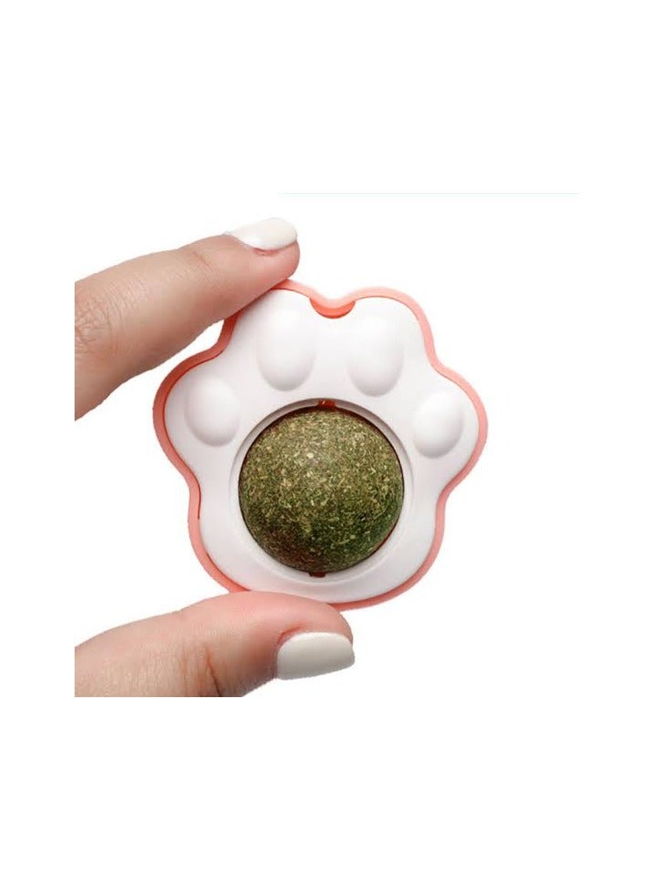 Catnip, Which Cats Love (one Piece) - Image 2