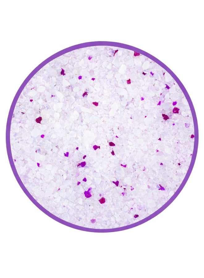 بادو رمل قطط كريستالي من بادو، ٢ كجم، مع وسادة داخلية - لافندر - Image 3