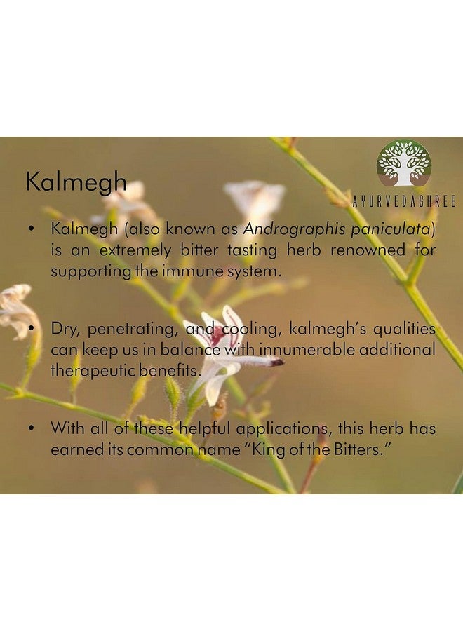 AYURVEDASHREE بودرة أندروغرافيز بانكولاتا 100 جرام | بودرة كالمغ | عشب مر | يدعم صحة المناعة وصحة الجهاز التنفسي | غير معدّل وراثيًا ومصدره بشكل مستدام بدون إضافات أو مواد حشو نباتي - Image 5