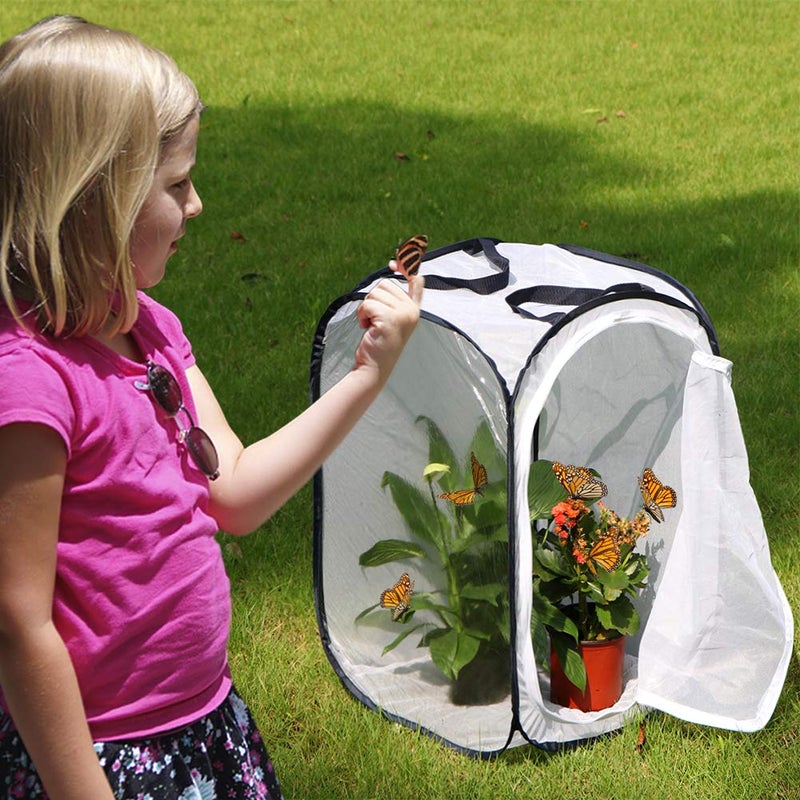 RESTCLOUD Insect and Butterfly Habitat Cage Terrarium Pop-up 23.6 Inches Tall - Image 2