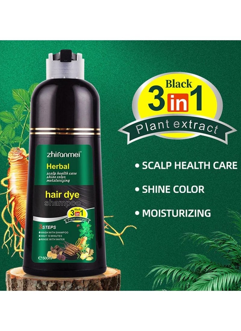 500ML Permanent Hair Dye Instant Fast Hair Dye Color Shampoo - pzsku/Z2C1905DA2462348C9FE9Z/45/_/1694091297/e25fa002-a9d3-41eb-b3d5-d93a98fdf270