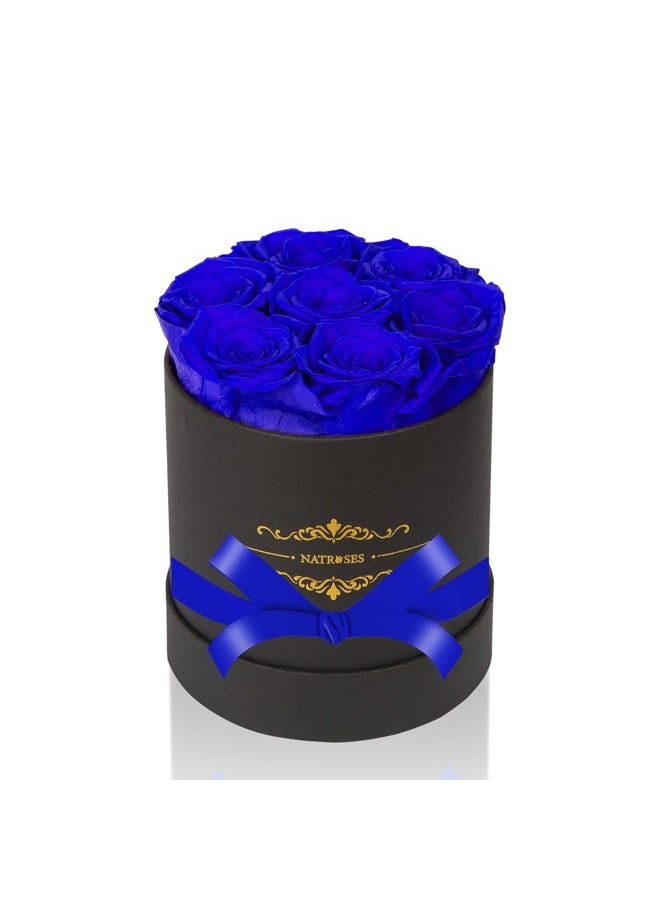 NATROSES 7 Piece Preserved Roses in a Box, Preserved Flowers for Birthday, Flower Gifts for Mothers Day (Royal Blue) - Image 1
