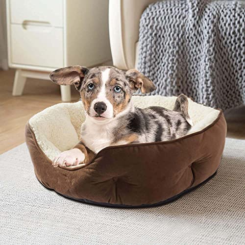 AMICA Dog Bed, Cat Beds for Indoor Cats, Pet Bed for Puppy and Kitty, Extra Soft & Machine Washable with Anti-Slip & Water-Resistant Oxford Bottom (Brown, L) - Image 5