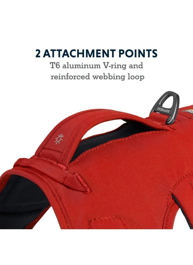 RUFFWEAR Ruffwear, Web Master, Multi-Use Support Dog Harness, Hiking and Trail Running, Service and Working, Everyday Wear, Red Sumac, Small  - Image 5