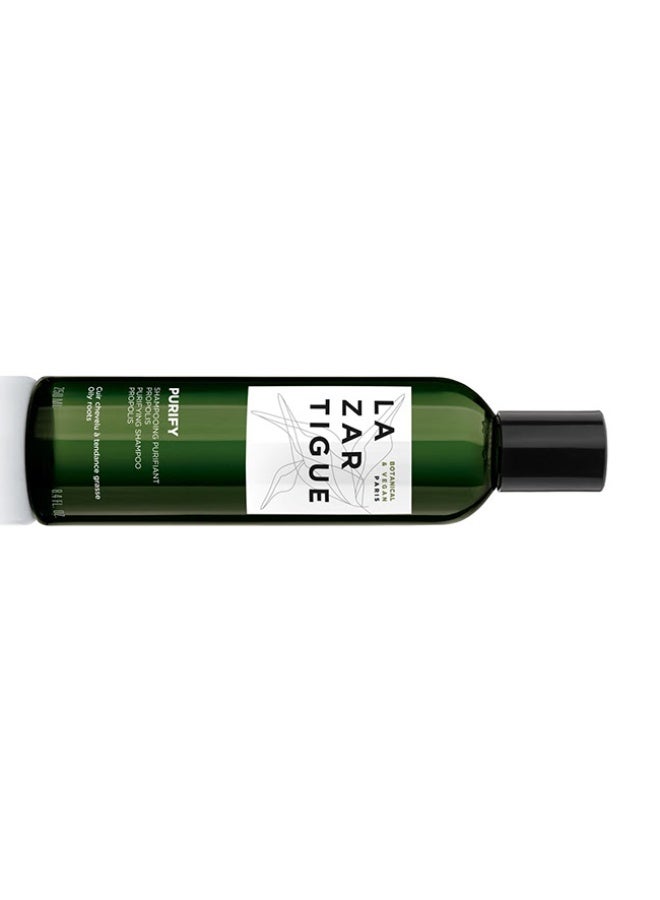 Lazartigue Purify Shampoo 250ml - Image 2