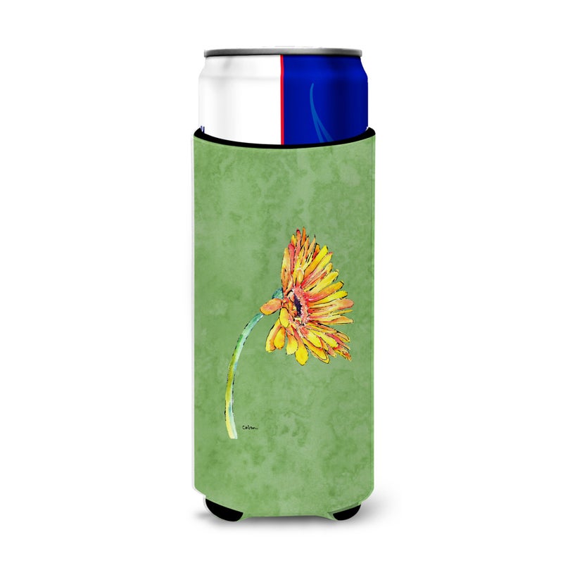 Caroline's Treasures Gerber Daisy Orange Ultra Beverage Insulators for slim cans 8854MUK 