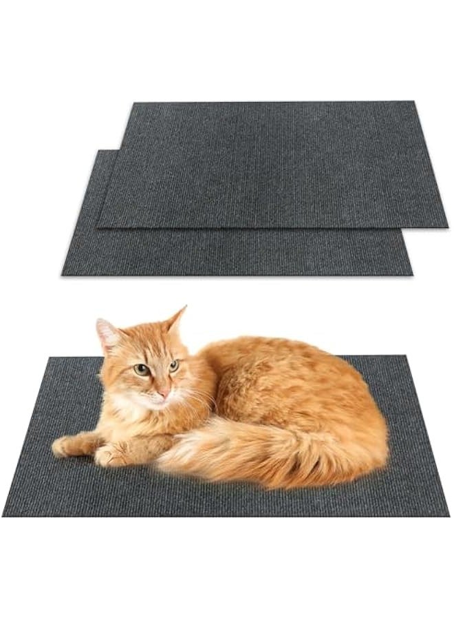 بيوينتي سجادة واقية من الخدش للقطط والحيوانات الاليفة سهلة القطع للارضيات والمدخل والشرفة، سجادة ارضية ذاتية الصنع تمنع السجاد من الخدش او الاهتراء، وسادة قطط بطول 6.6 قدم مع ملصق مجاني (رمادي، 40 × 15.8 انش) - Image 2
