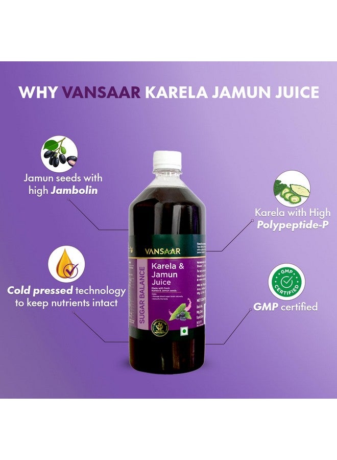 Vansaar Karela & Jamun Juice-1L| Blood sugar level management | Suitable for diabetes & prediabetes care - Image 4