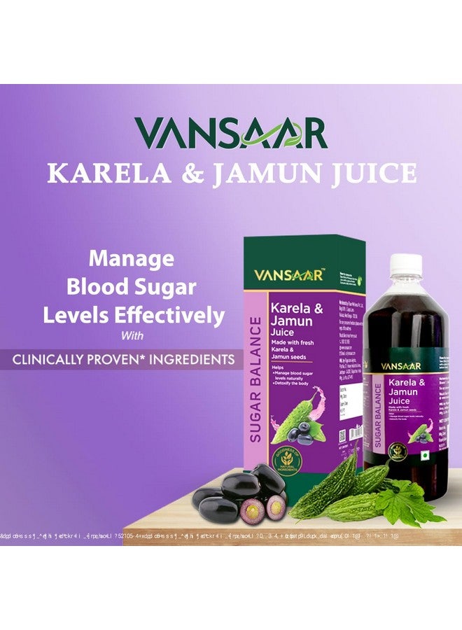 Vansaar Karela & Jamun Juice-1L| Blood sugar level management | Suitable for diabetes & prediabetes care - Image 2