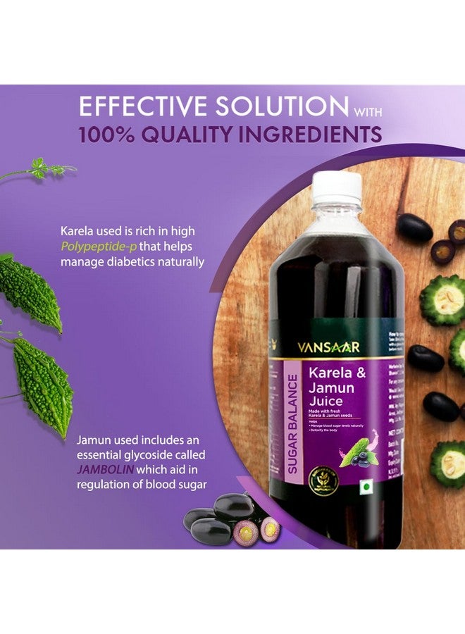 Vansaar Karela & Jamun Juice-1L| Blood sugar level management | Suitable for diabetes & prediabetes care - Image 3