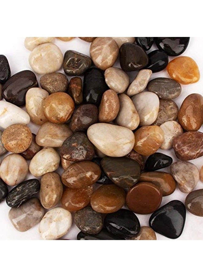 CFKJ [18 Pounds] Pebbles Aquarium Gravel River Rock, Natural Polished Decorative Gravel,Garden Ornamental River Pebbles Rocks, Mixed Color Fish Tank Stones，Polished Gravel for Landscaping (Multicolor) - Image 1