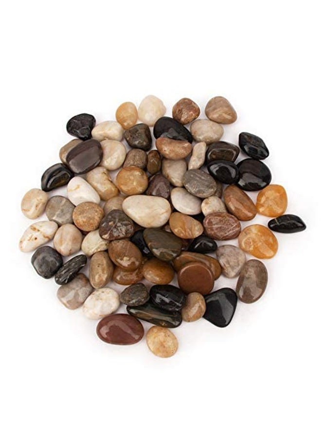 CFKJ [18 Pounds] Pebbles Aquarium Gravel River Rock, Natural Polished Decorative Gravel,Garden Ornamental River Pebbles Rocks, Mixed Color Fish Tank Stones，Polished Gravel for Landscaping (Multicolor) - Image 2