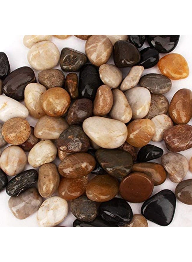CFKJ [18 Pounds] Pebbles Aquarium Gravel River Rock, Natural Polished Decorative Gravel,Garden Ornamental River Pebbles Rocks, Mixed Color Fish Tank Stones，Polished Gravel for Landscaping (Multicolor) - Image 5