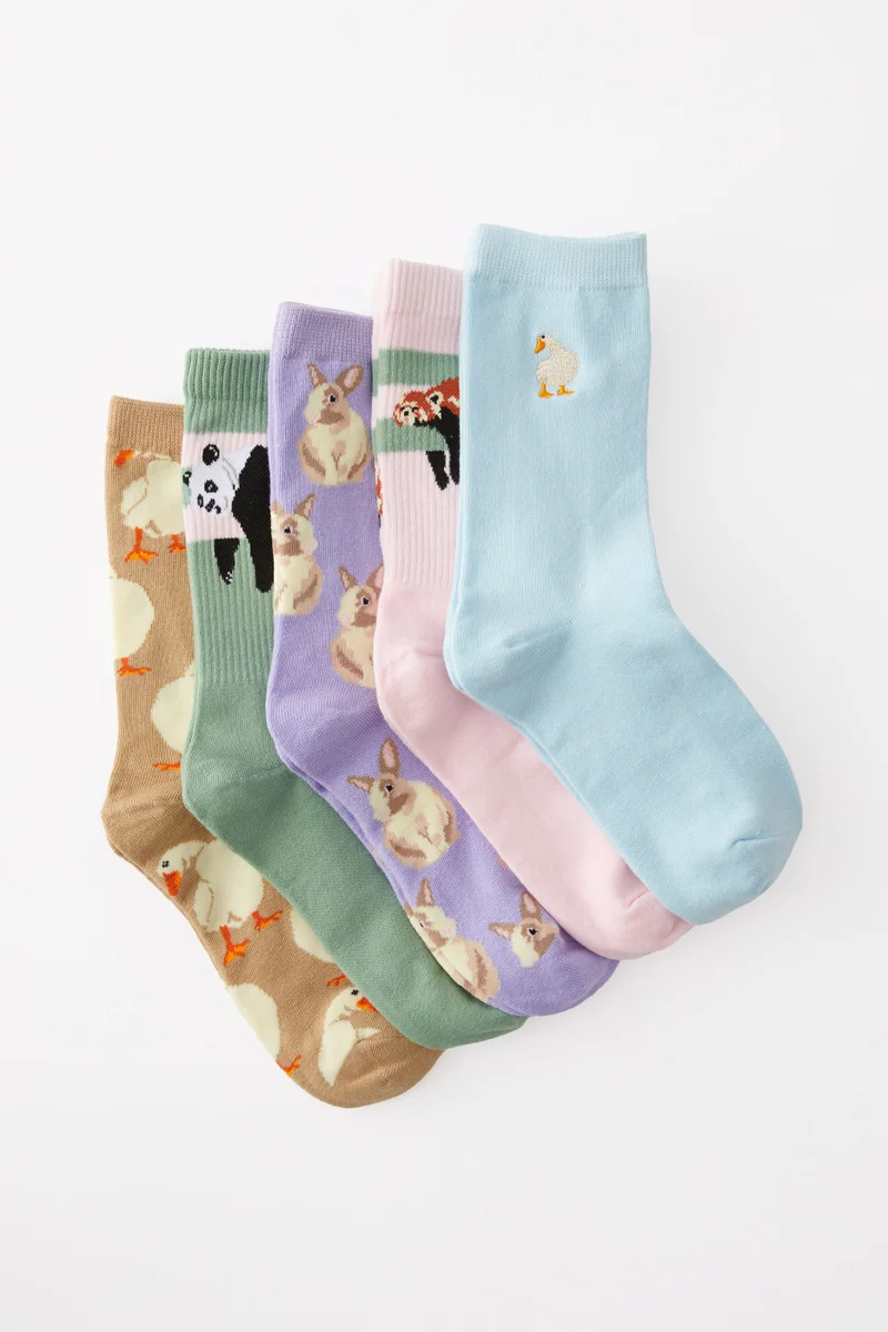 تايبو Box Of Socks