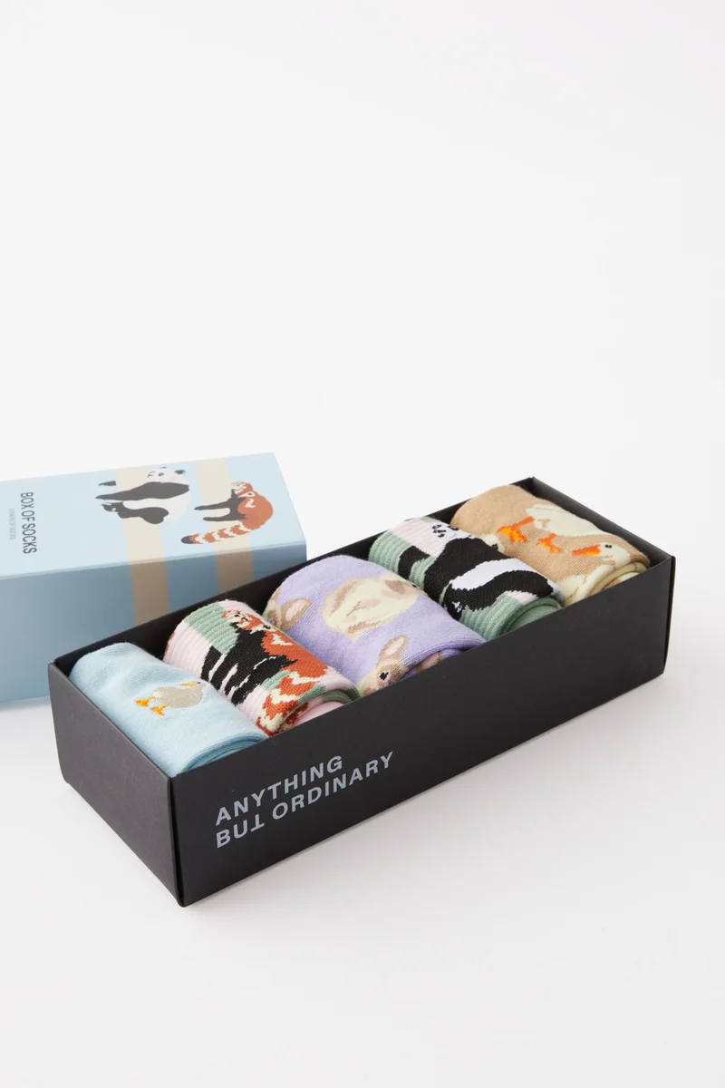 تايبو Box Of Socks