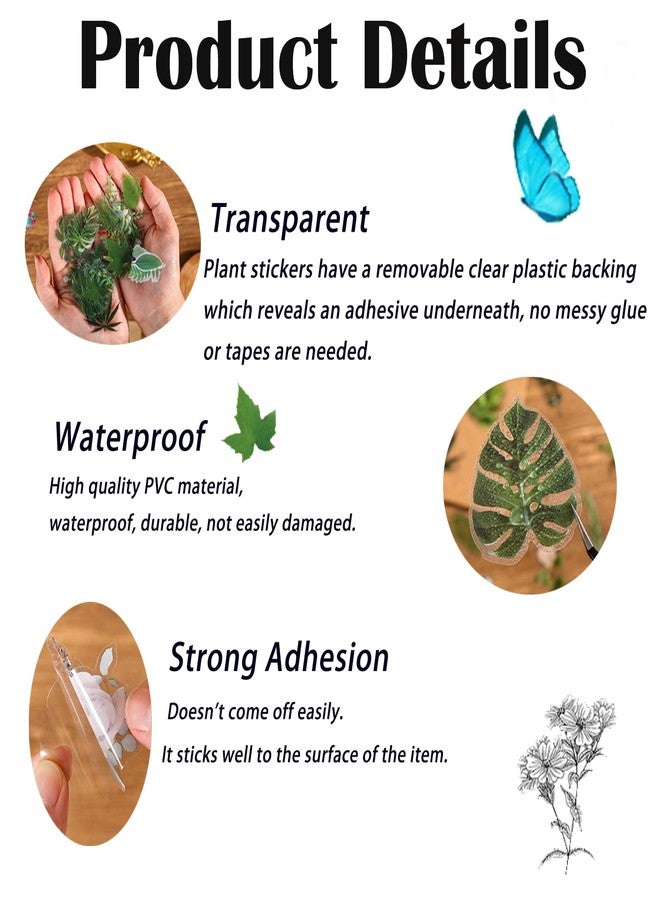 Imeepa 480 Pieces Plant Scrapbooking Stickers, 8 Series Nature Theme Transparent Stickers, Waterproof Flowers, Mushroom, Butterfly, Feather Stickers for Scrapbooking, Diary, DIY, Craft, Planner - Image 4