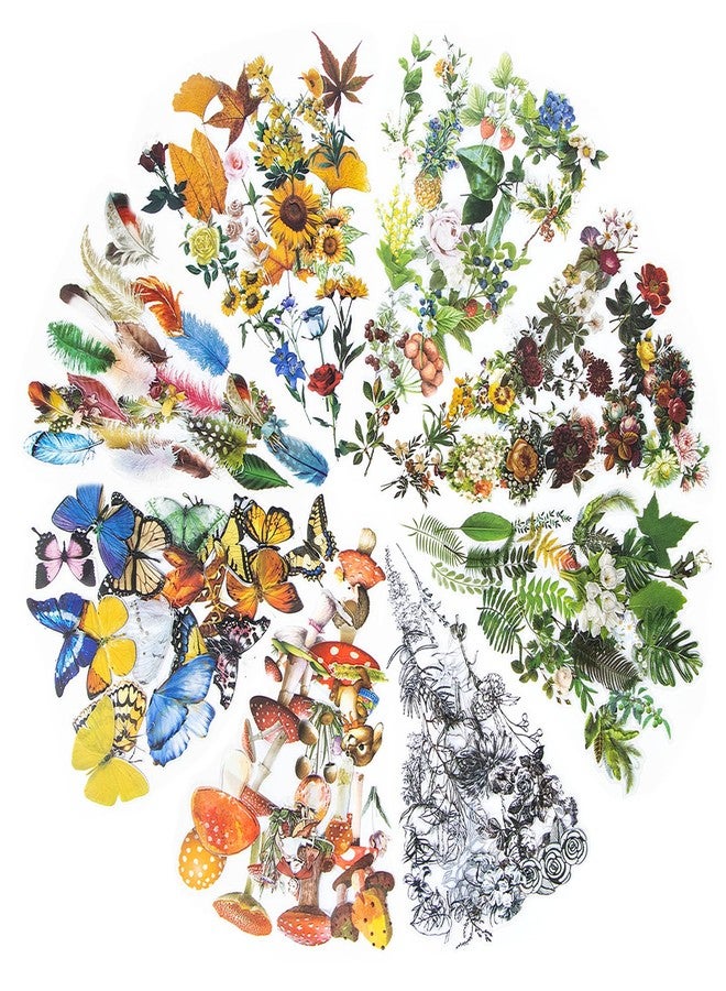 Imeepa 480 Pieces Plant Scrapbooking Stickers, 8 Series Nature Theme Transparent Stickers, Waterproof Flowers, Mushroom, Butterfly, Feather Stickers for Scrapbooking, Diary, DIY, Craft, Planner - Image 1