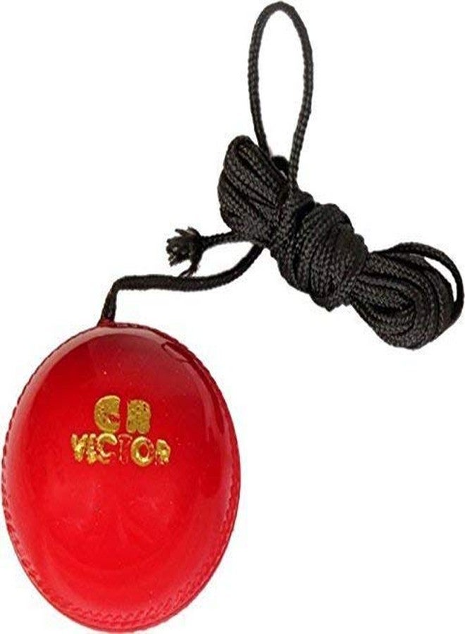 Forgesy Hanging Cricket Ball - Durable Leather Practice Ball with Adjustable Rope for Batting Training, Swing Practice, and Skill Enhancement - Image 2