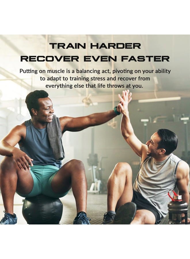 Granite Supplements Granite Essential Amino Acids Powder for Muscle Recovery and Growth with 10g EAAs and 7g BCAAs - Soy-Free, Gluten-Free, 448g (30 Servings), Fruit Punch Flavor - Image 4