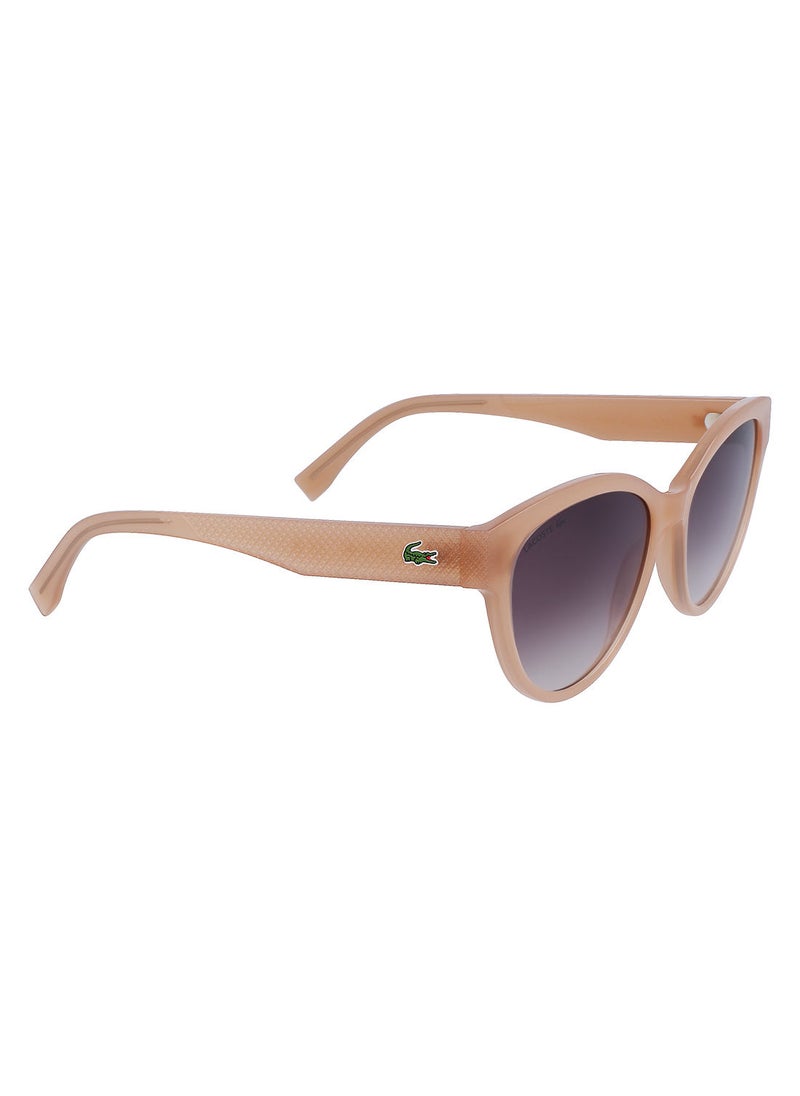 LACOSTE Full Rim Bio Injected Cat Eye Lacoste Suns L983S 5517 (272) Nude  - Image 2