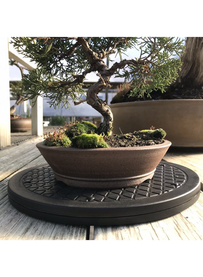kydely Mighty Mini Bonsai Tree Turntable 12.5" Base Stainless Steel Ball Bearings. Low Cost 200-Pound Capacity 360-Degree Rotation Allows Easy Pruning Or Great Bonsai Tree Displays - Image 5
