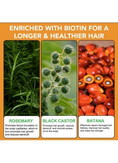 Generic Jamaican Black Castor Oil + Rosemary Oil + Batana Oil (Shampoo And Conditioner), Green  - Image 3