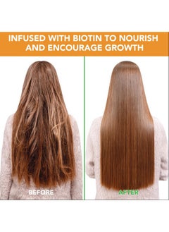 Generic Jamaican Black Castor Oil + Rosemary Oil + Batana Oil (Shampoo And Conditioner), Green  - Image 5