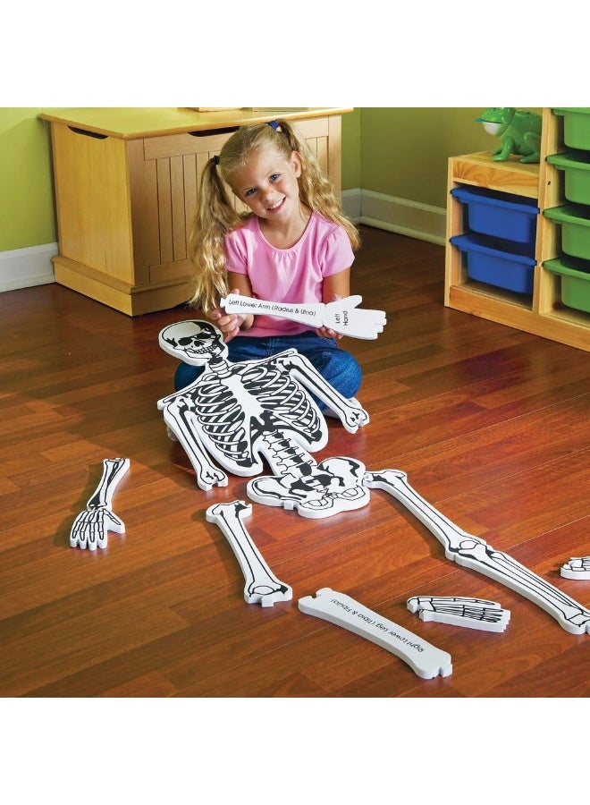 Learning Resources Skeleton Floor Puzzle | 15-Piece Double-Sided Human Anatomy Foam Puzzle | Over 4 Feet Tall | Educational Science Toy for Kids Ages 5+ - Image 4
