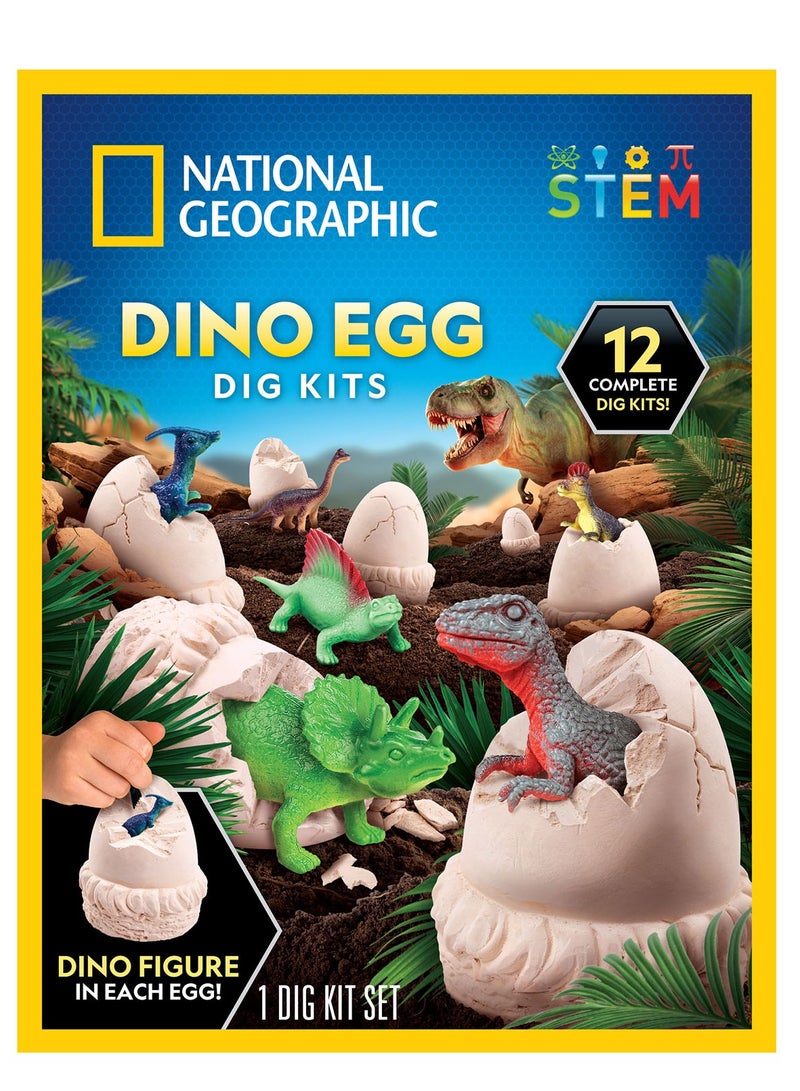 NATIONAL GEOGRAPHIC طقم حفر بيضة الديناصور من ناشيونال جيوغرافيك - الرخام الأزرق! - Image 2