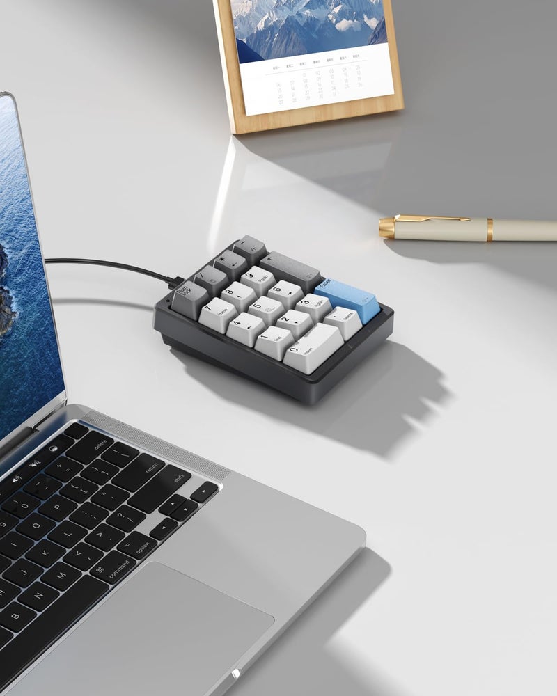 Kisnt Mechanical Number Pad,Hot Swappable Numpad Wired USB 17 Keys Keypad White Backlit Numeric Keypad with PBT Keycaps for Laptop PC Compact Keyboards (Black, Brown Switch) - Image 4