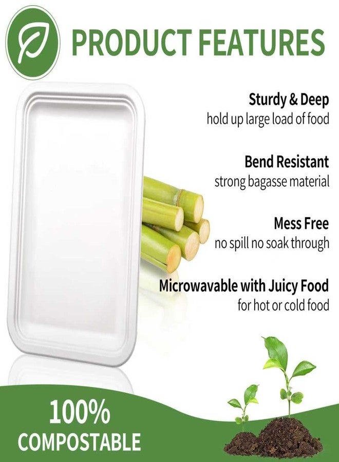 VEIZEDD 30Pack Compostable Food Trays 14 Inch Large Paper Plates Heavy Duty Disposable Serving Tray for Thanksgiving Turkey, BBQ, Seafood Boil Party Supplies - Image 3